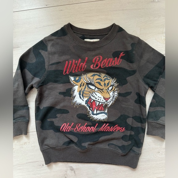 Zara Other - Zara boys collection tiger wild beast tiger sweatshirt sz 5